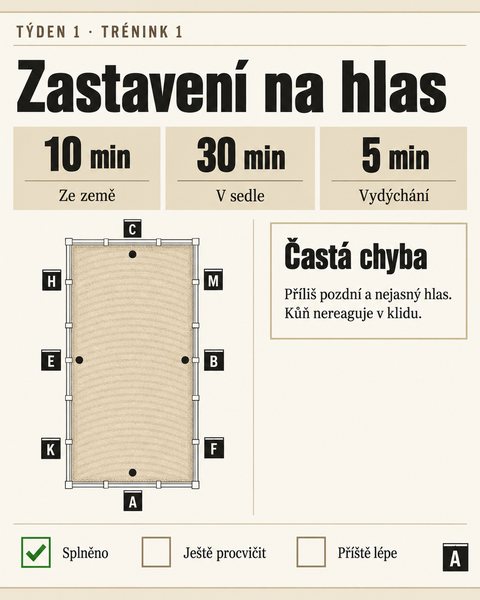 Stránka z programu